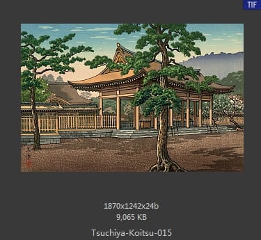 土屋光逸
