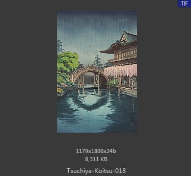 土屋光逸