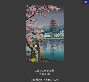 土屋光逸