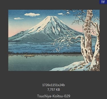 土屋光逸