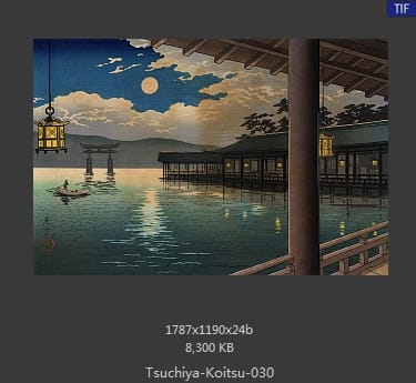 土屋光逸