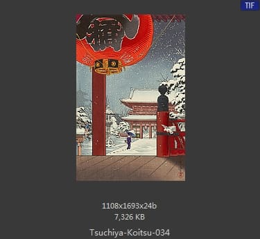 土屋光逸