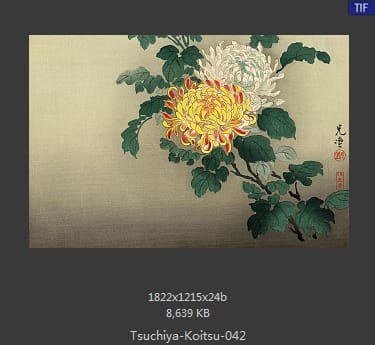 土屋光逸