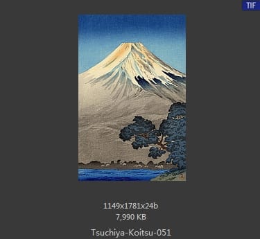 土屋光逸
