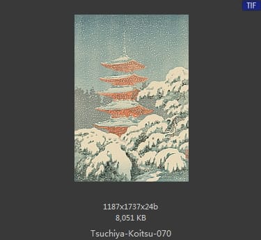 土屋光逸