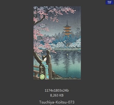 土屋光逸