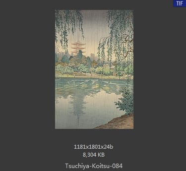 土屋光逸