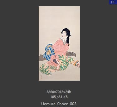 Uemura Shoen