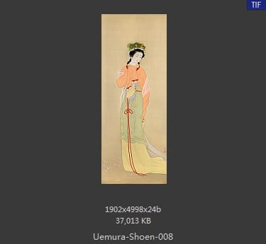 Uemura Shoen