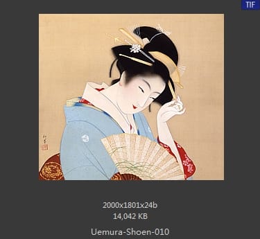 Uemura Shoen