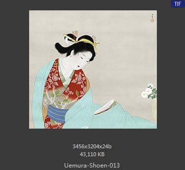 Uemura Shoen