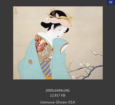 Uemura Shoen