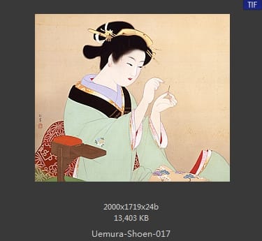 Uemura Shoen