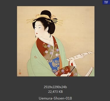 Uemura Shoen