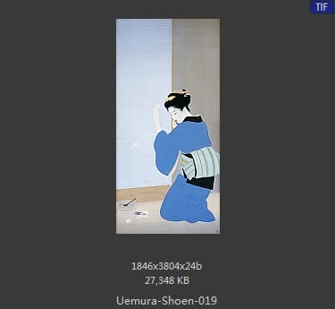 Uemura Shoen