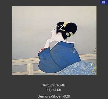 Uemura Shoen