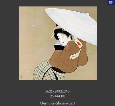 Uemura Shoen
