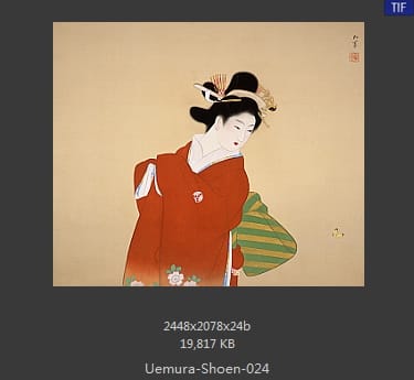 Uemura Shoen