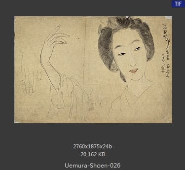 Uemura Shoen