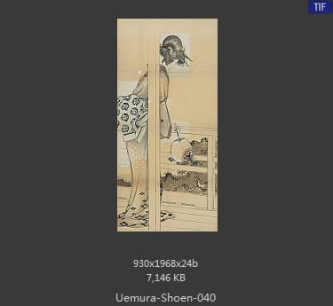 Uemura Shoen