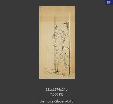 Uemura Shoen