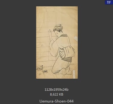 Uemura Shoen