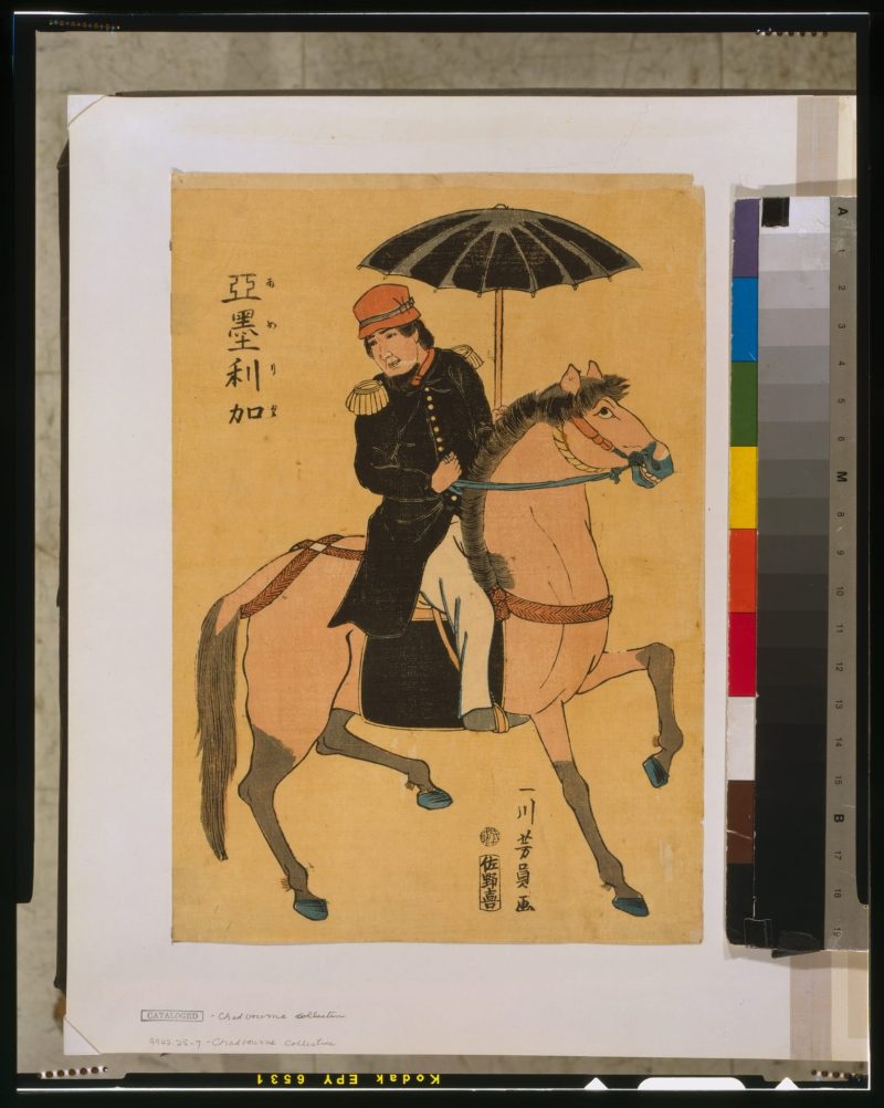 一川芳员 #41