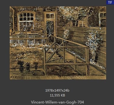 Vincent van Gogh