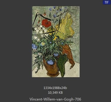 Vincent van Gogh