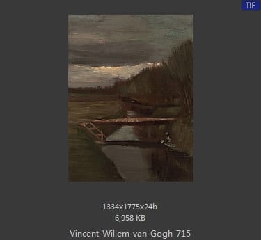 Vincent van Gogh