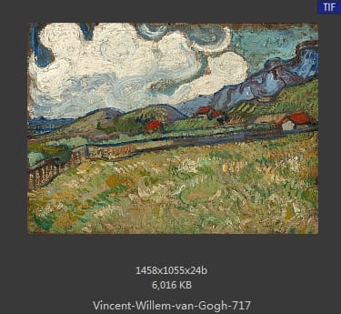 Vincent van Gogh