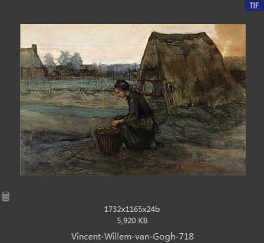 Vincent van Gogh