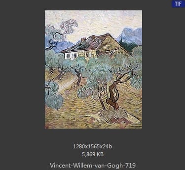 Vincent van Gogh