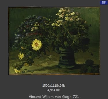 Vincent van Gogh