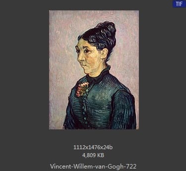 Vincent van Gogh