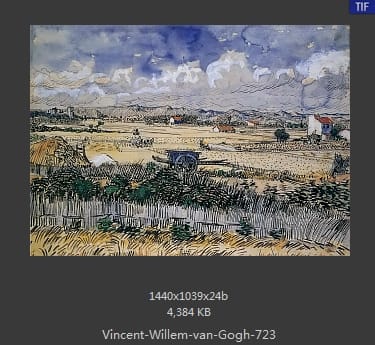Vincent van Gogh