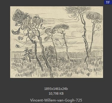 Vincent van Gogh