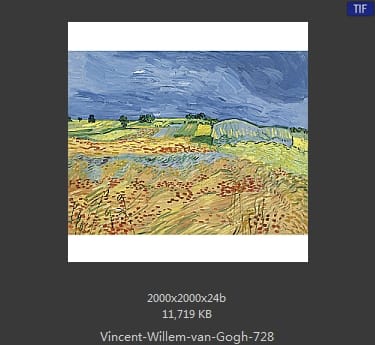 Vincent van Gogh