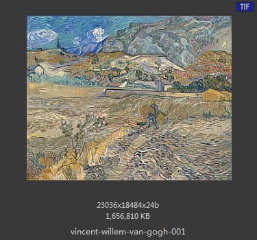 Vincent van Gogh