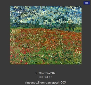 Vincent van Gogh