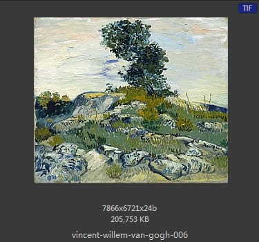 Vincent van Gogh