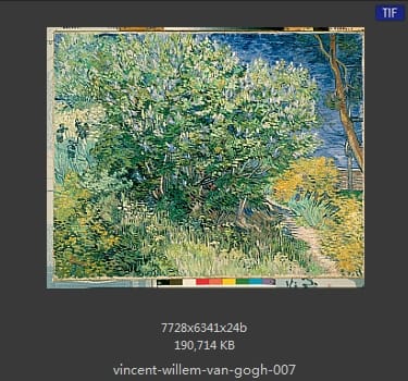 Vincent van Gogh