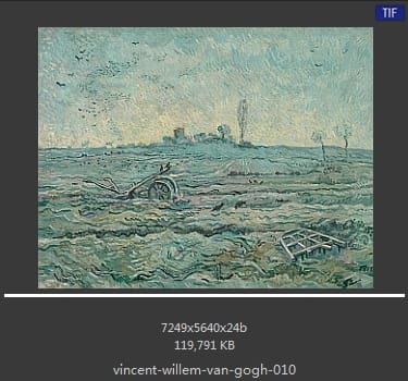 Vincent van Gogh