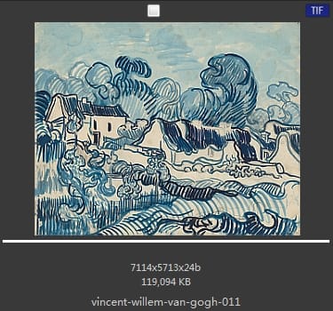 Vincent van Gogh
