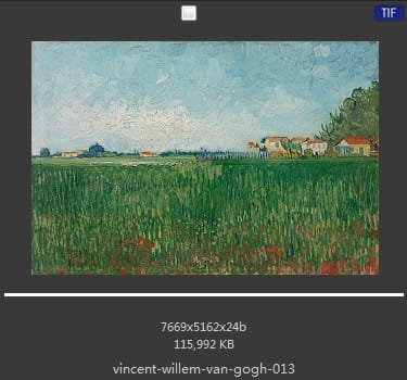Vincent van Gogh