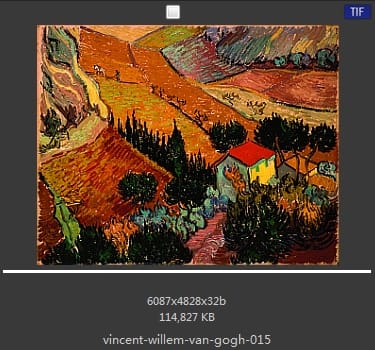 Vincent van Gogh
