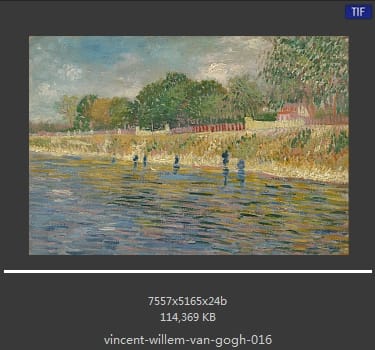 Vincent van Gogh