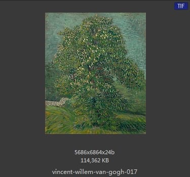 Vincent van Gogh