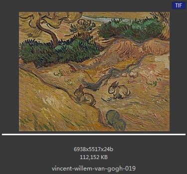 Vincent van Gogh