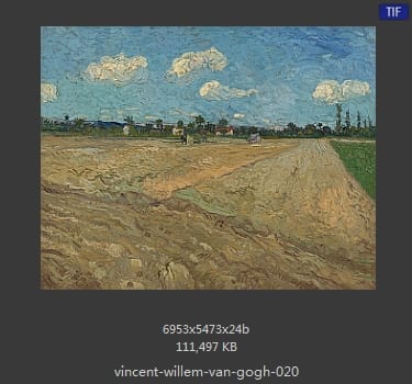 Vincent van Gogh